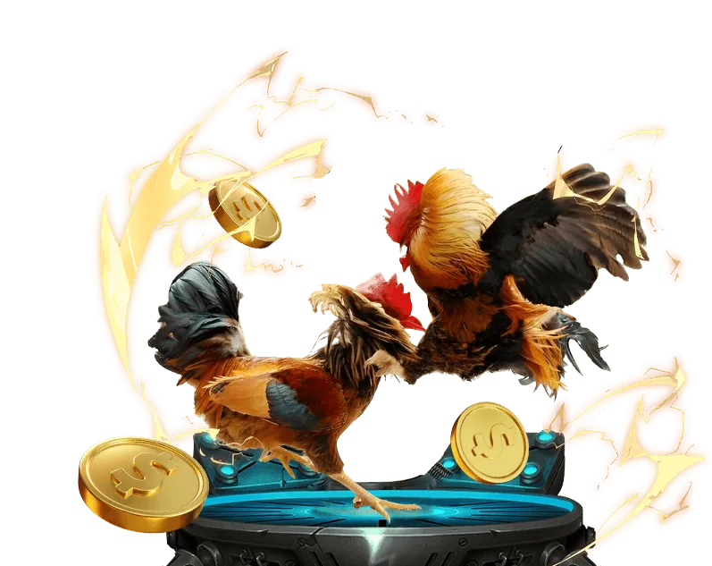 Trò Chơi Có Trách Nhiệm Kwin 68